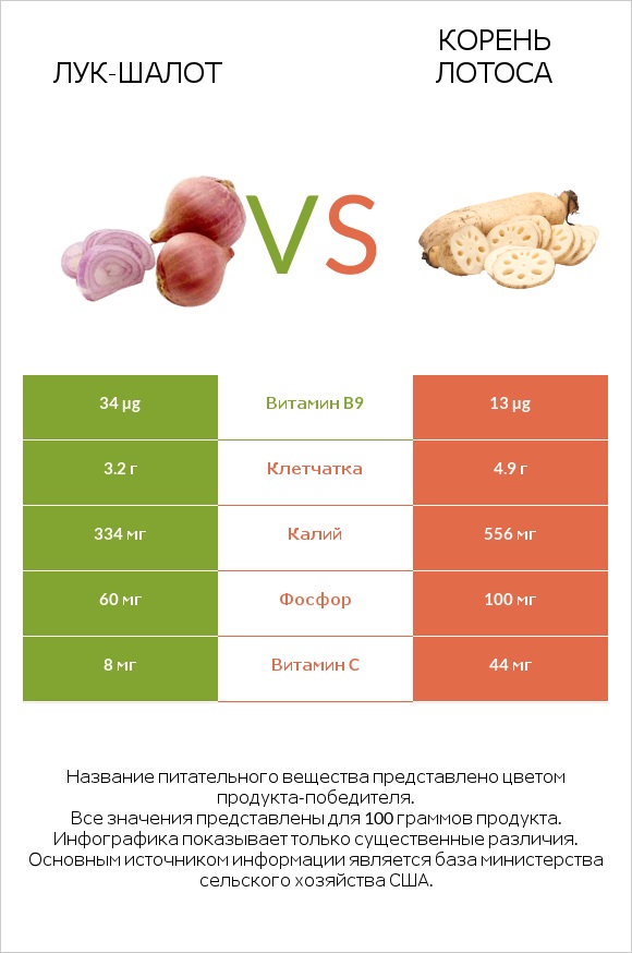 Лук-шалот vs Корень лотоса infographic