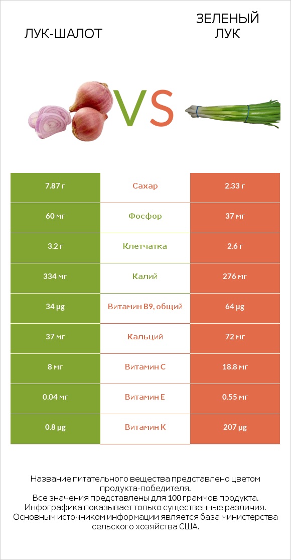 Лук-шалот vs Зеленый лук infographic