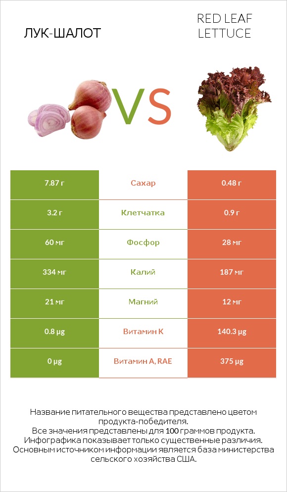 Лук-шалот vs Red leaf lettuce infographic