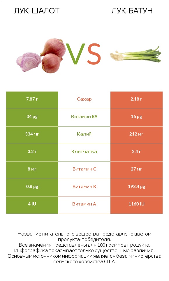 Лук-шалот vs Лук-батун infographic