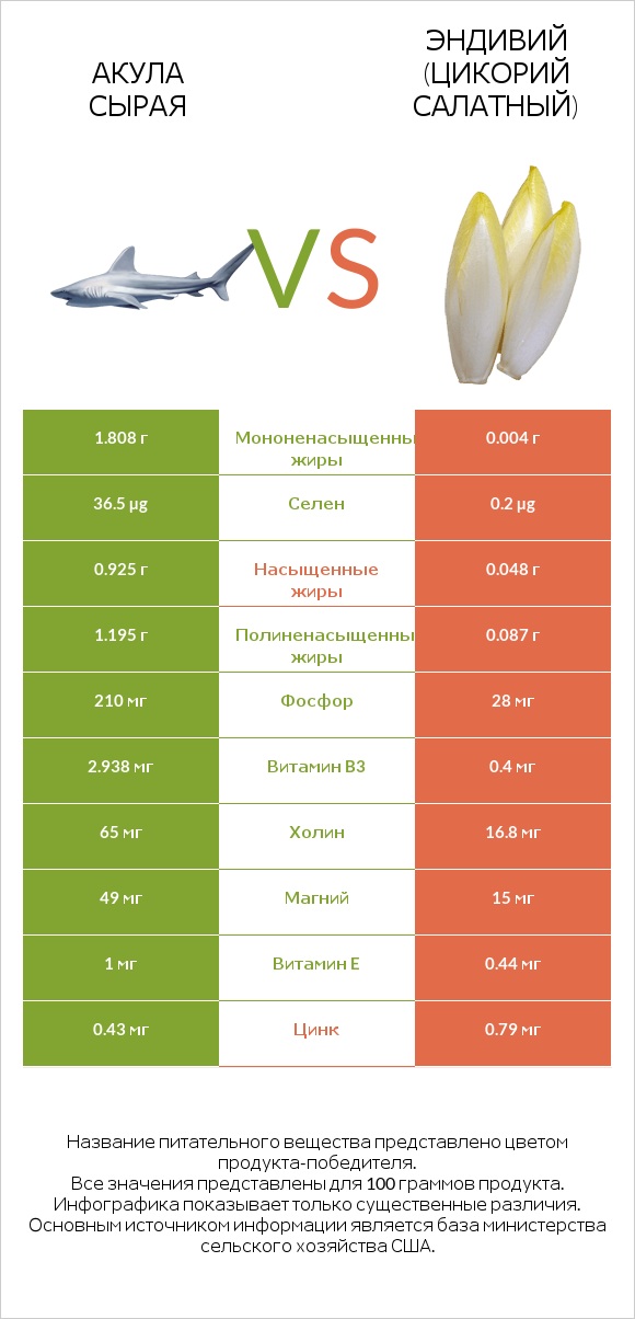 Акула сырая vs Эндивий (Цикорий салатный)  infographic