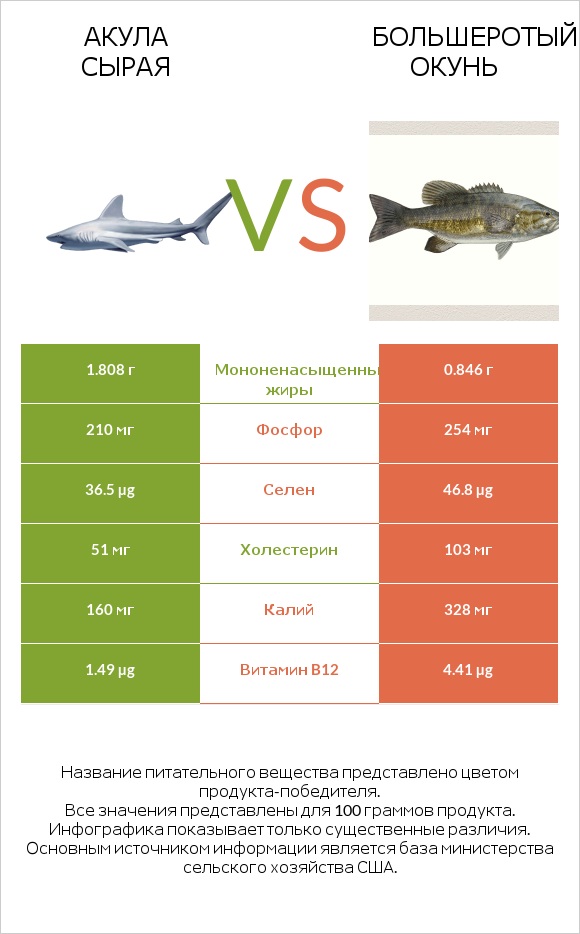 Акула сырая vs Большеротый окунь infographic