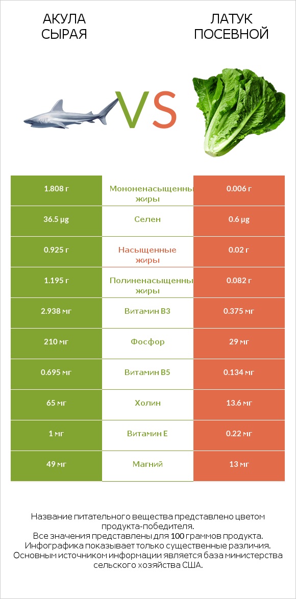 Акула сырая vs Латук посевной infographic