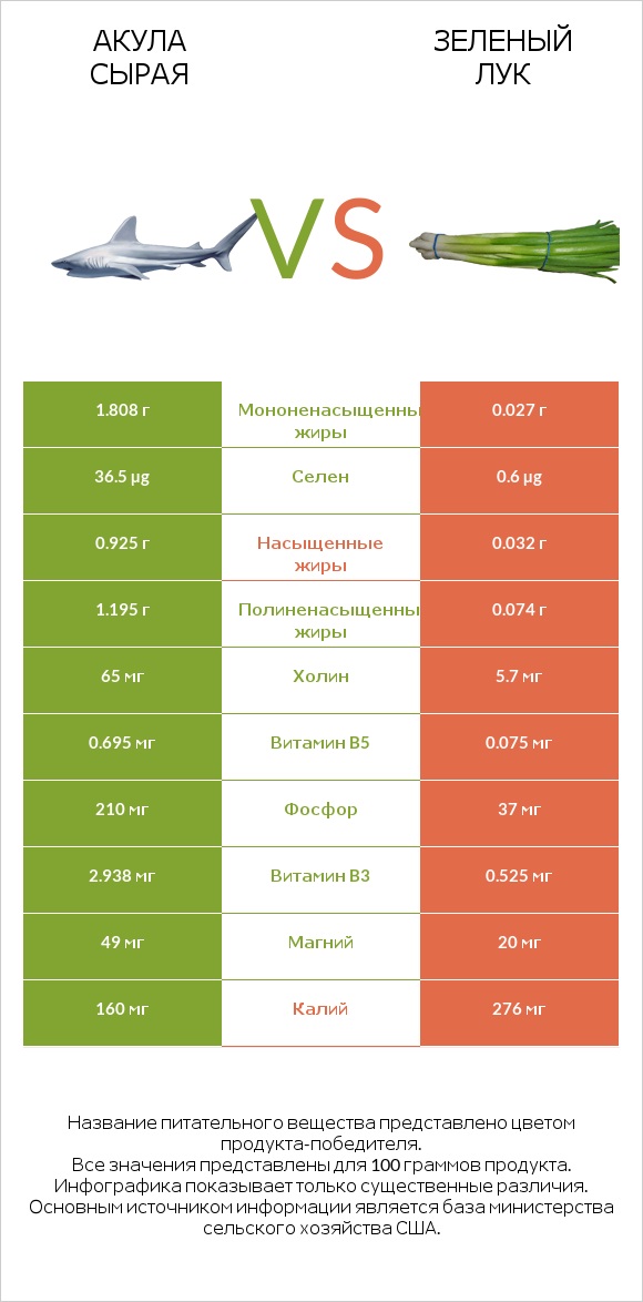 Акула сырая vs Зеленый лук infographic