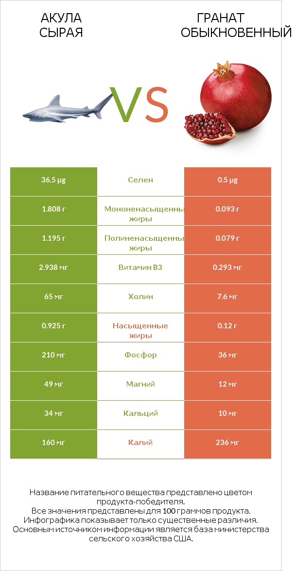 Акула сырая vs Гранат обыкновенный infographic