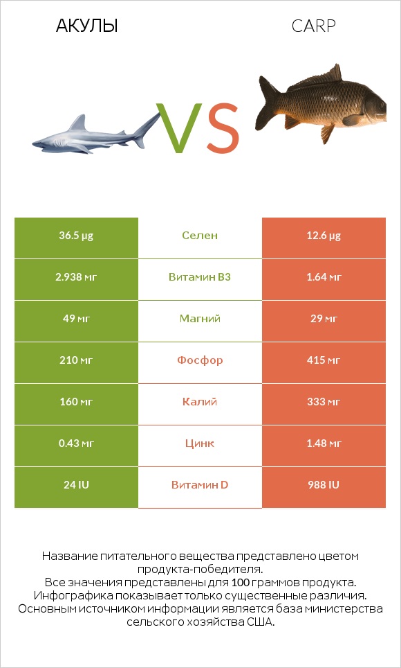Акула vs Carp infographic