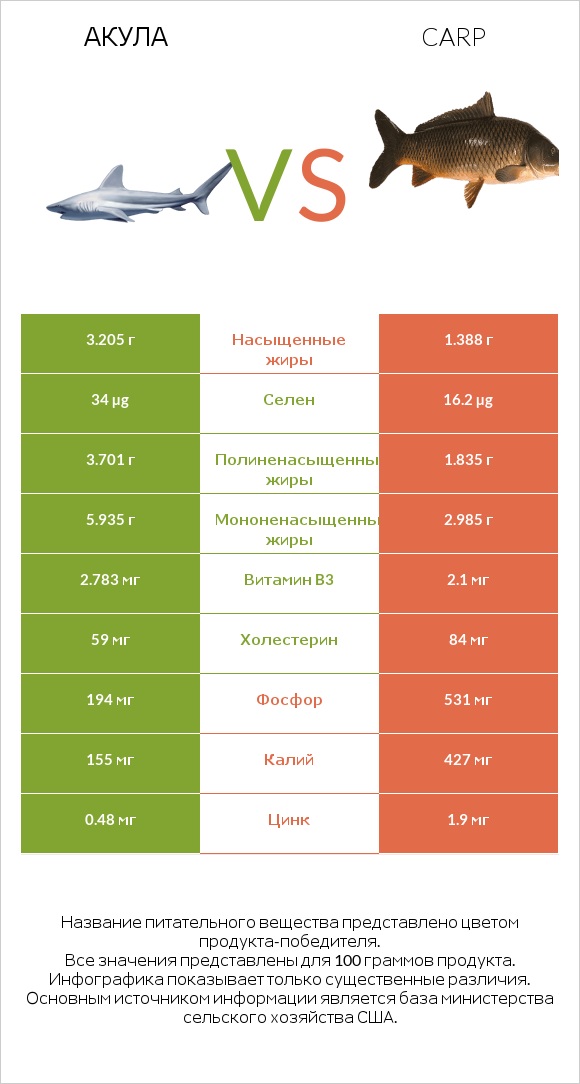 Акула vs Carp infographic