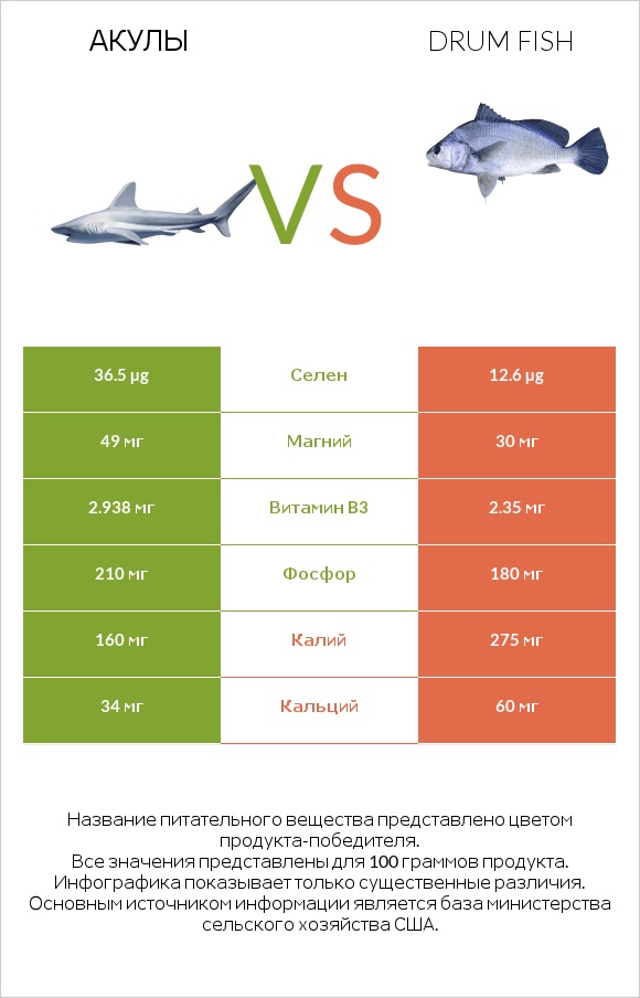 Акула vs Drum fish infographic