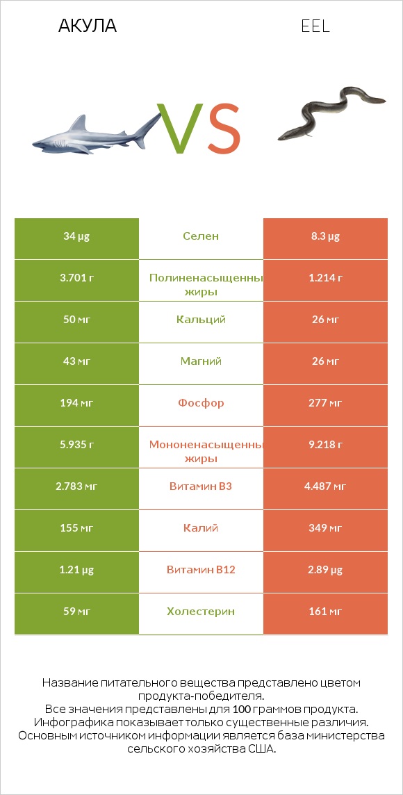 Акула vs Eel infographic