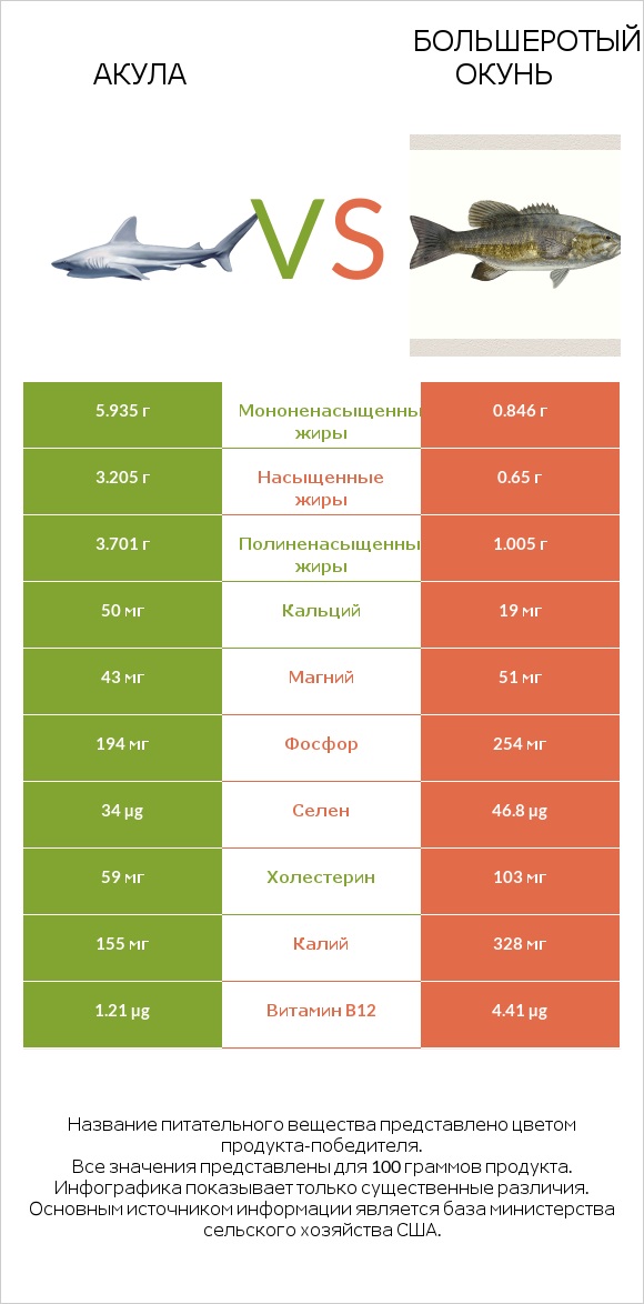 Акула vs Большеротый окунь infographic