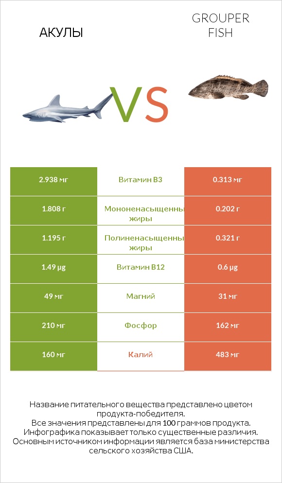 Акула vs Grouper fish infographic