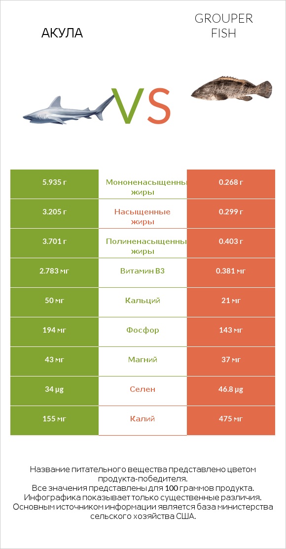 Акула vs Grouper fish infographic