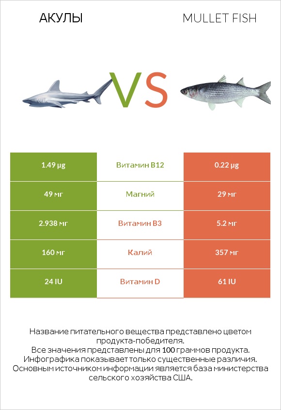 Акула vs Mullet fish infographic
