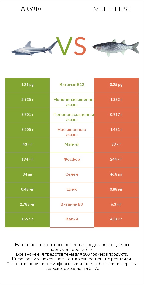 Акула vs Mullet fish infographic