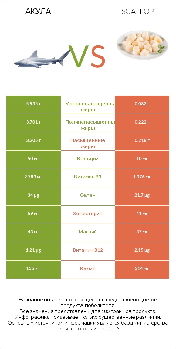 Акула vs Scallop infographic