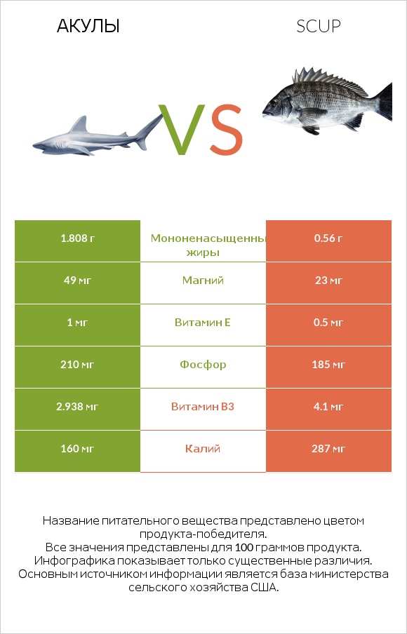Акула vs Scup infographic
