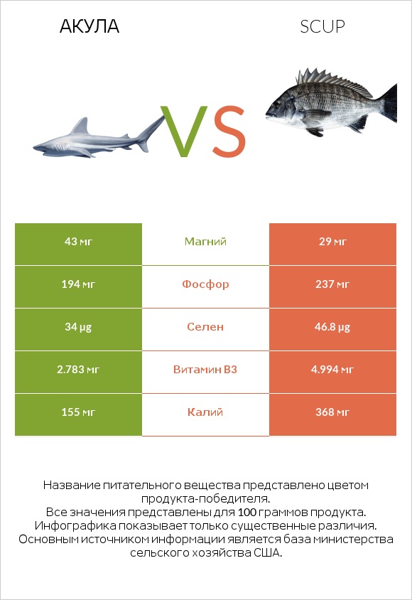 Акула vs Scup infographic