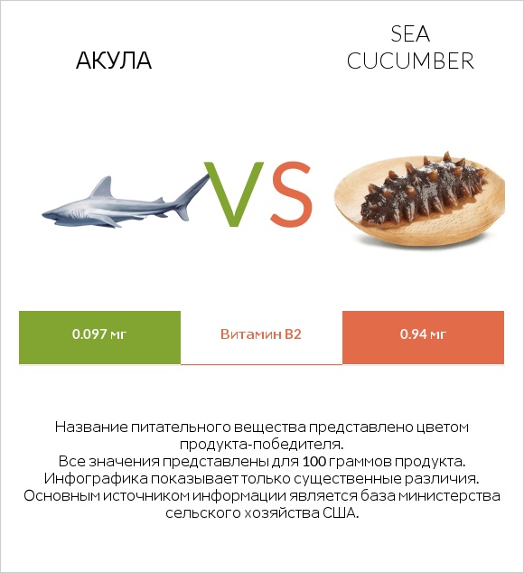 Акула vs Sea cucumber infographic