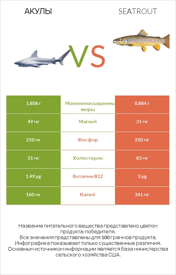 Акула vs Seatrout infographic