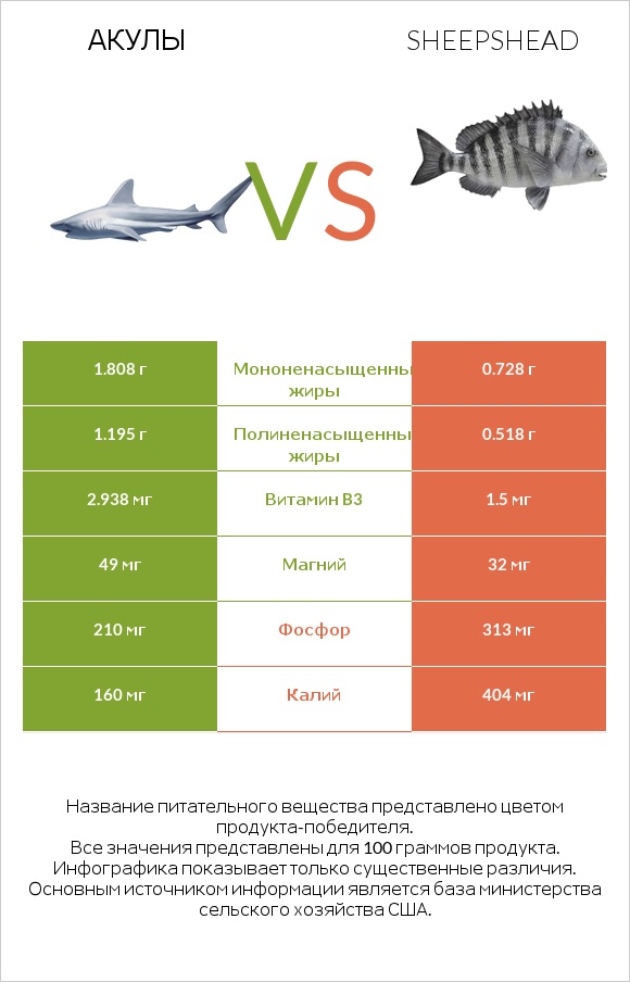 Акула vs Sheepshead infographic