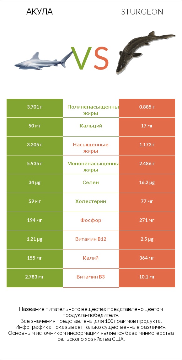 Акула vs Sturgeon infographic