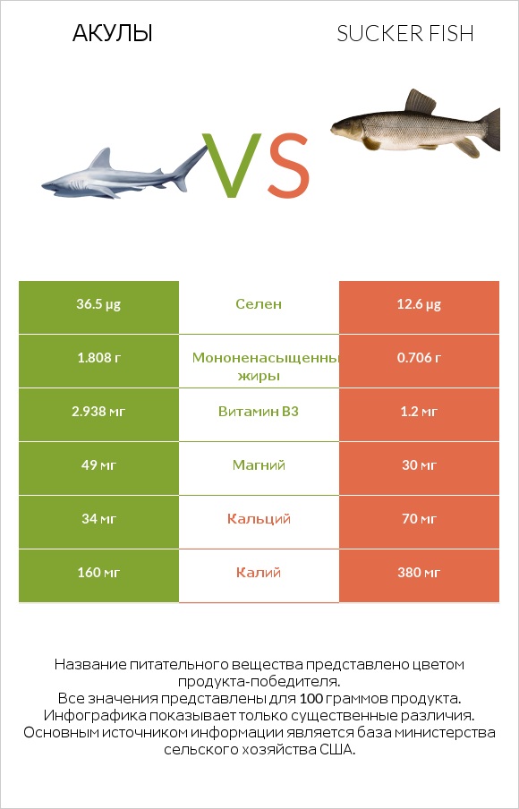Акула vs Sucker fish infographic