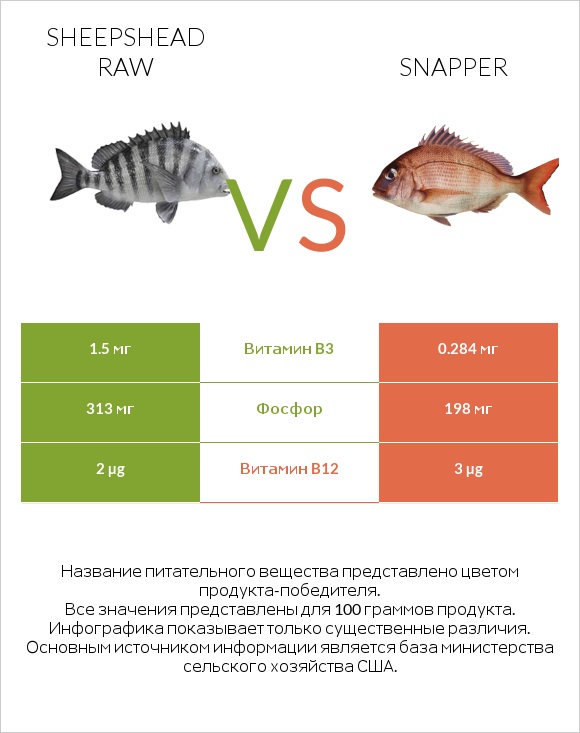 Sheepshead raw vs Snapper infographic