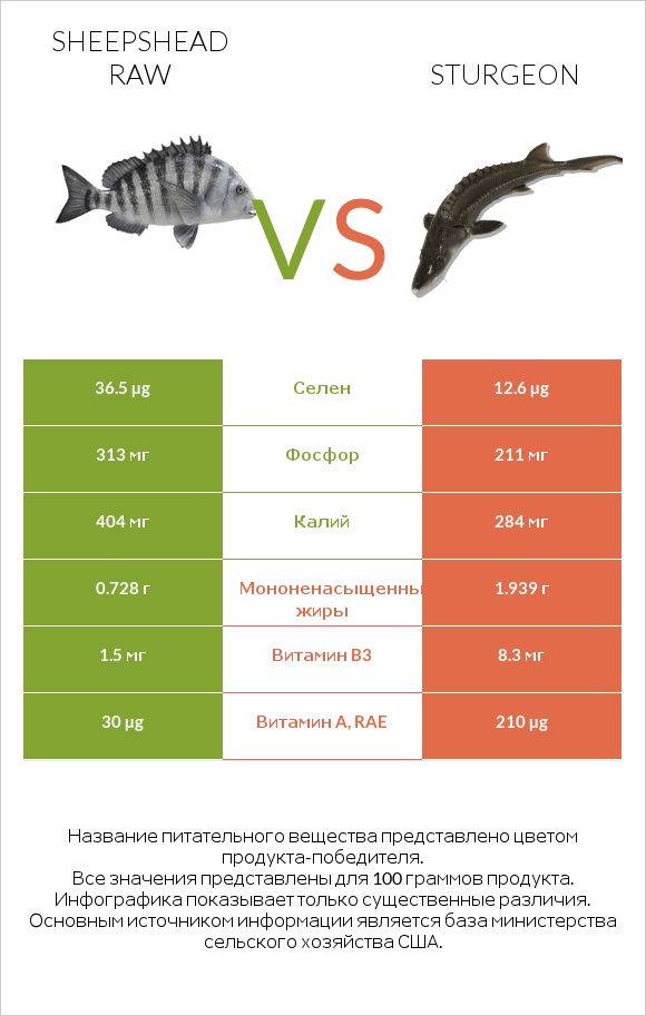 Sheepshead raw vs Sturgeon infographic