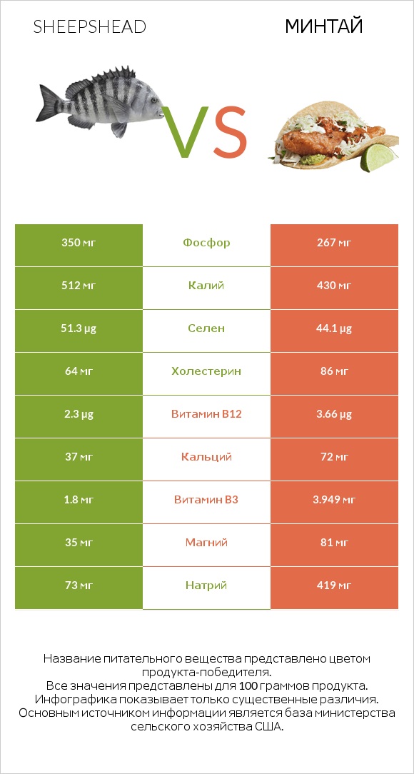 Sheepshead vs Минтай infographic