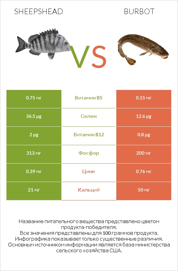 Sheepshead vs Burbot infographic