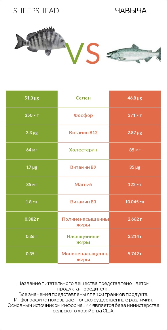 Sheepshead vs Чавыча infographic