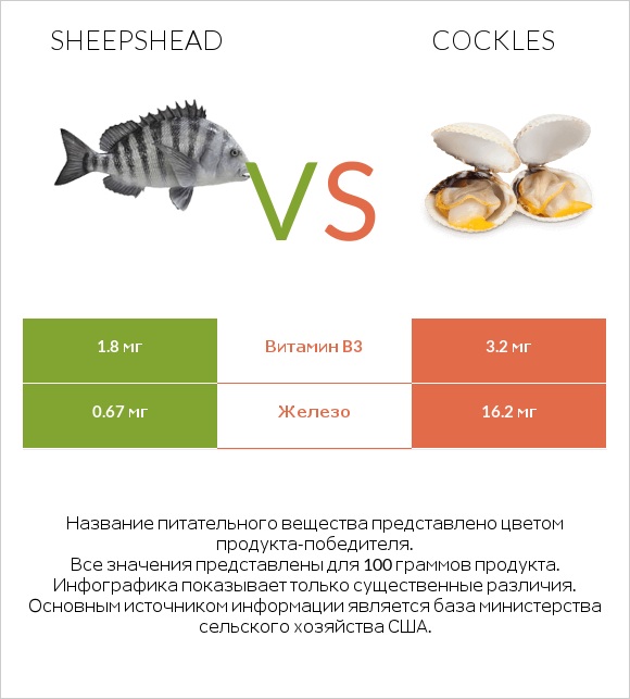 Sheepshead vs Cockles infographic