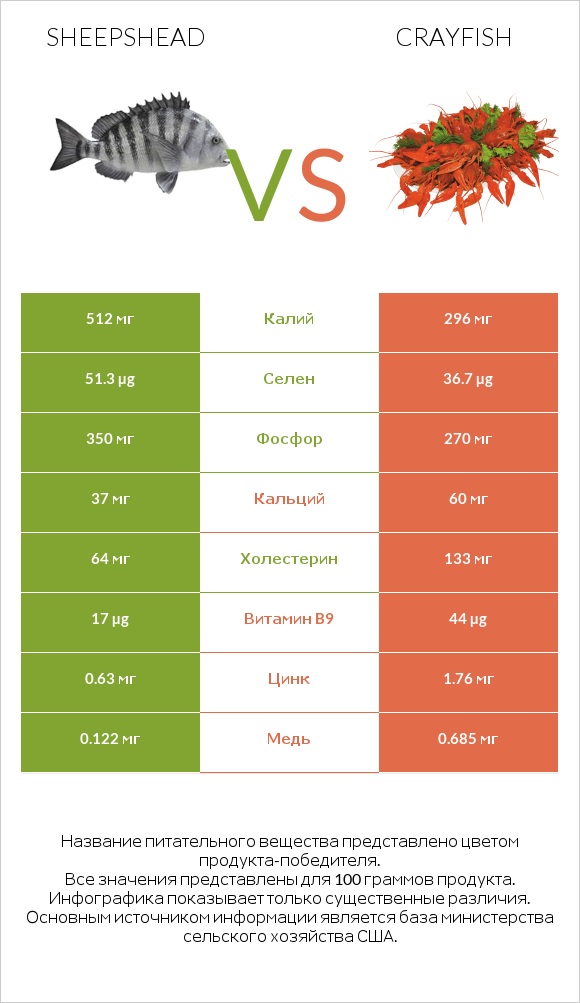 Sheepshead vs Crayfish infographic