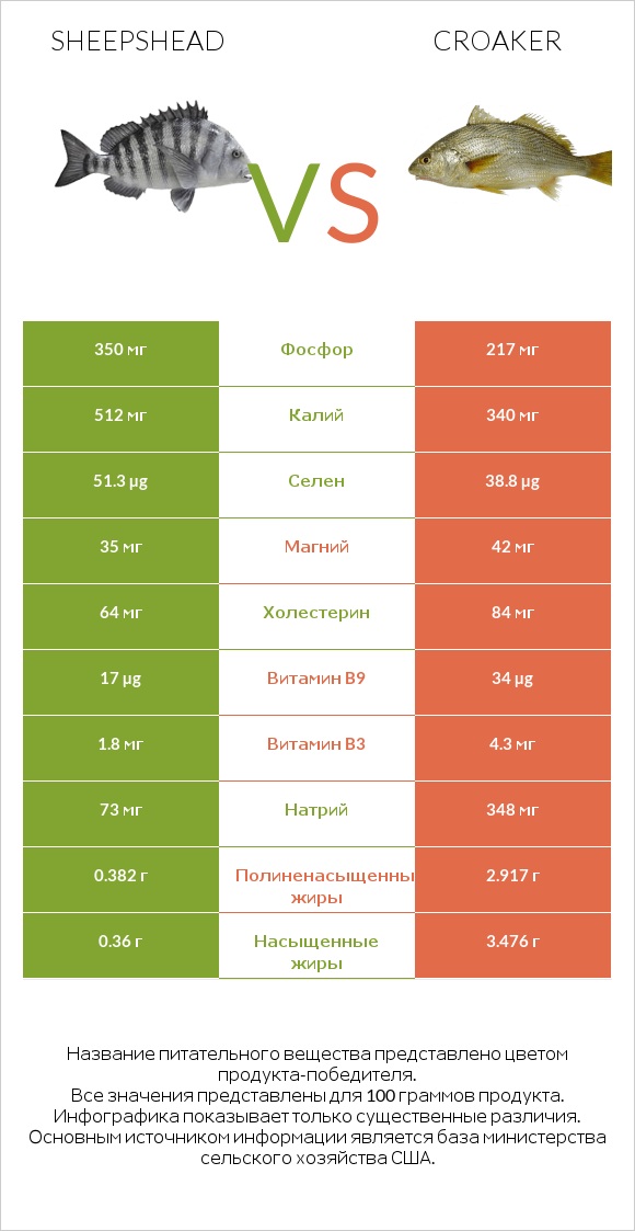 Sheepshead vs Croaker infographic