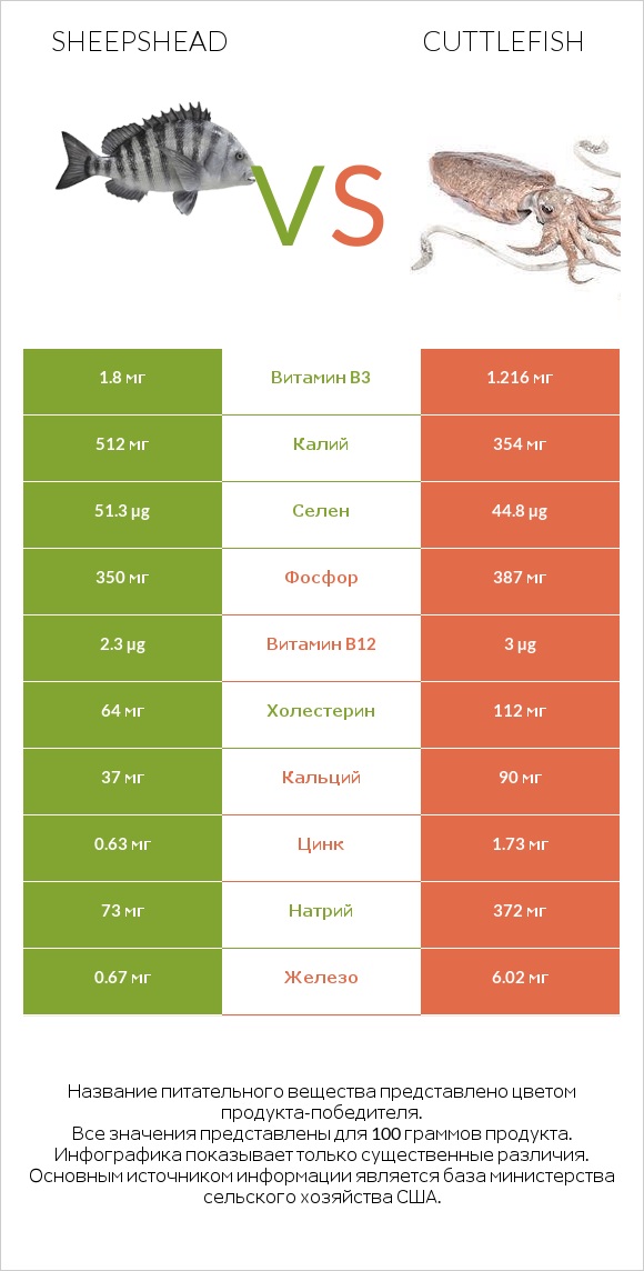 Sheepshead vs Cuttlefish infographic