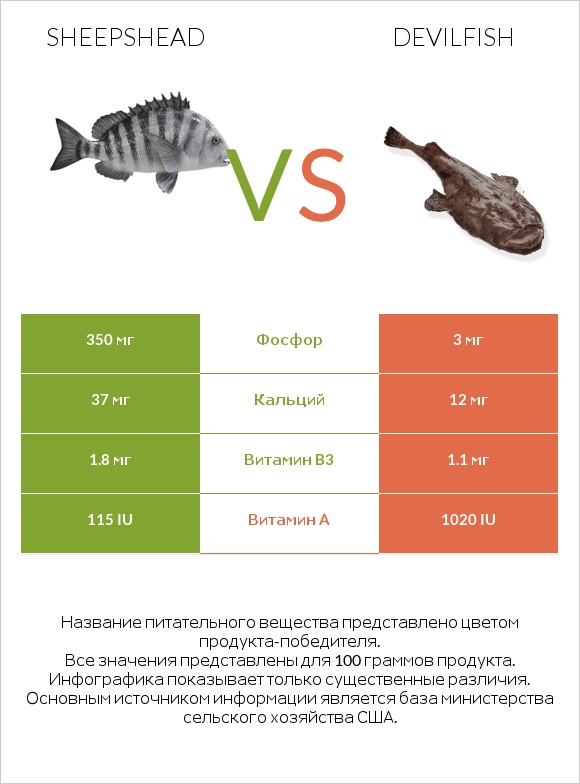 Sheepshead vs Devilfish infographic