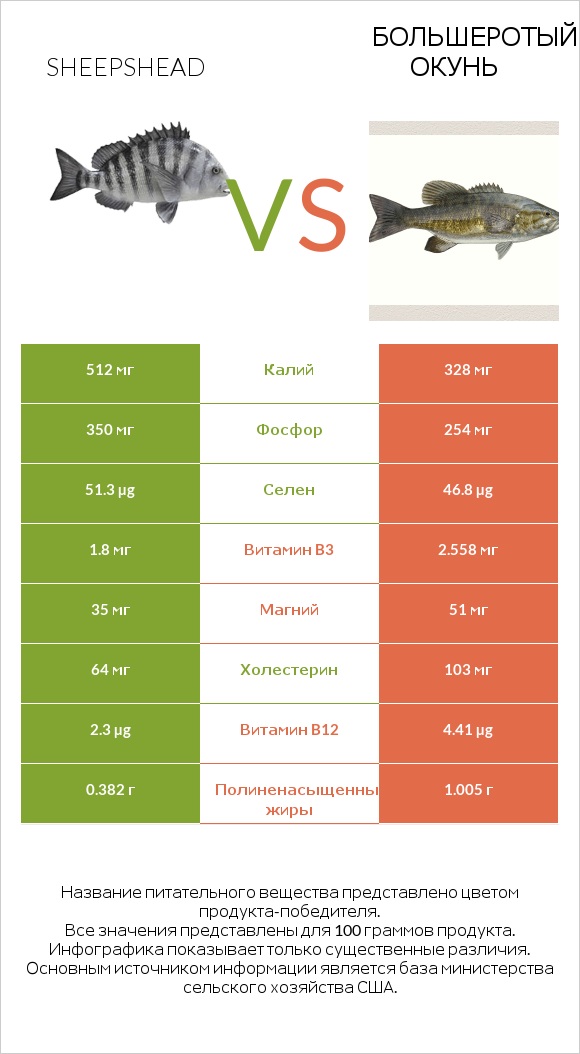 Sheepshead vs Большеротый окунь infographic