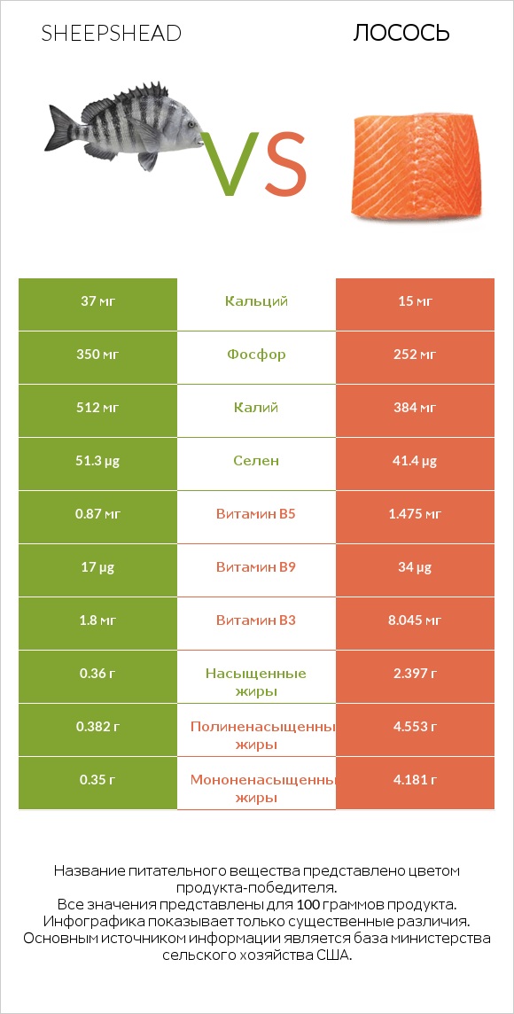 Sheepshead vs Лосось infographic