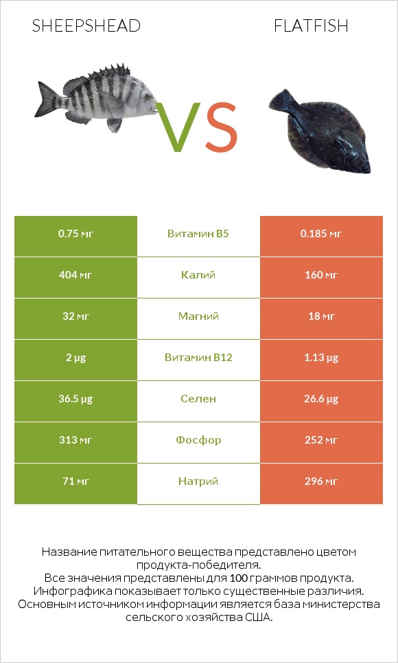 Sheepshead vs Flatfish infographic