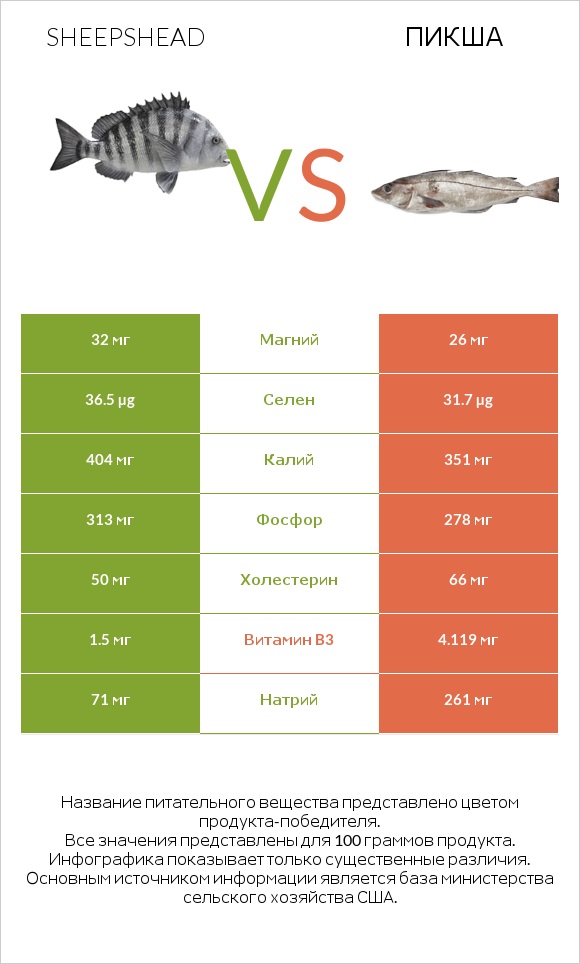 Sheepshead vs Пикша infographic