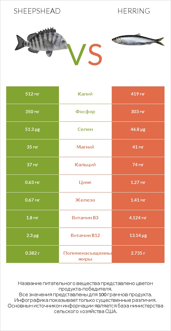 Sheepshead vs Herring infographic