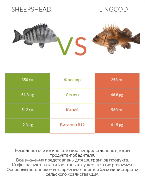 Sheepshead vs Lingcod infographic