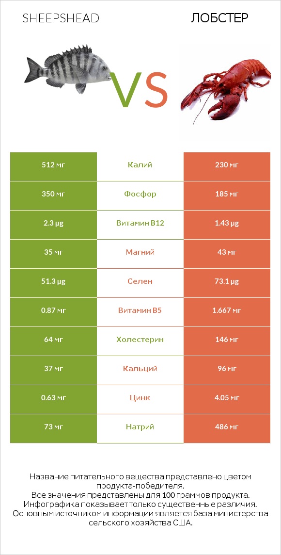 Sheepshead vs Лобстер infographic