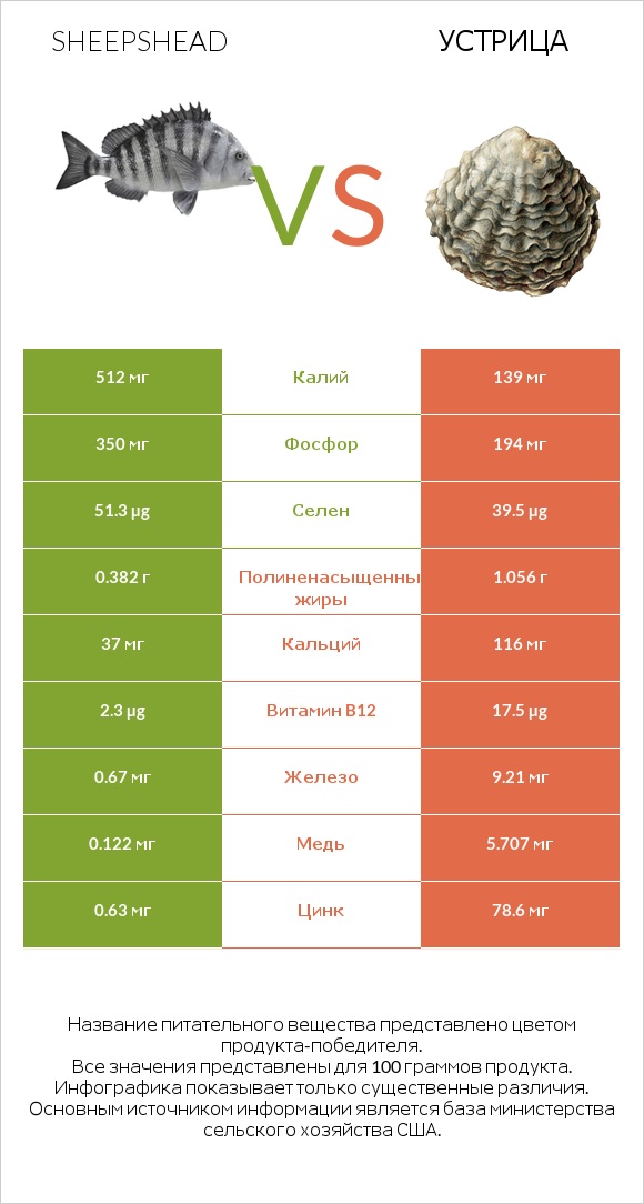 Sheepshead vs Устрица infographic