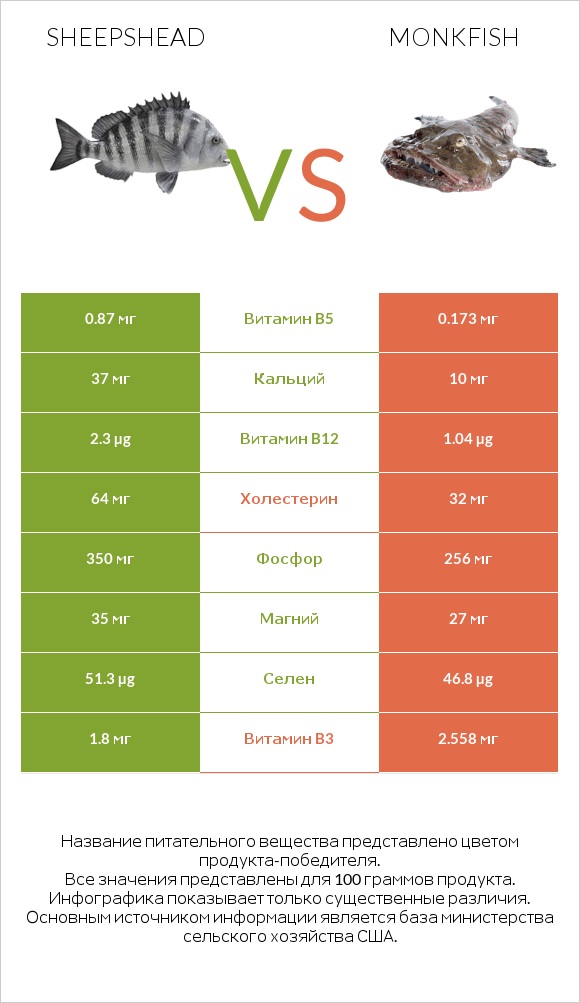 Sheepshead vs Monkfish infographic