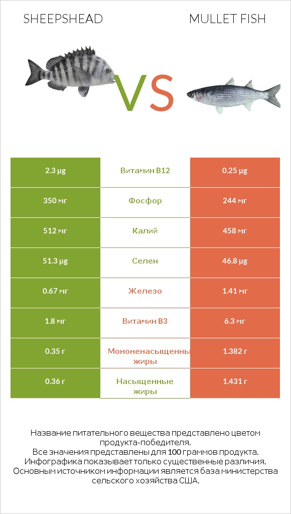 Sheepshead vs Mullet fish infographic