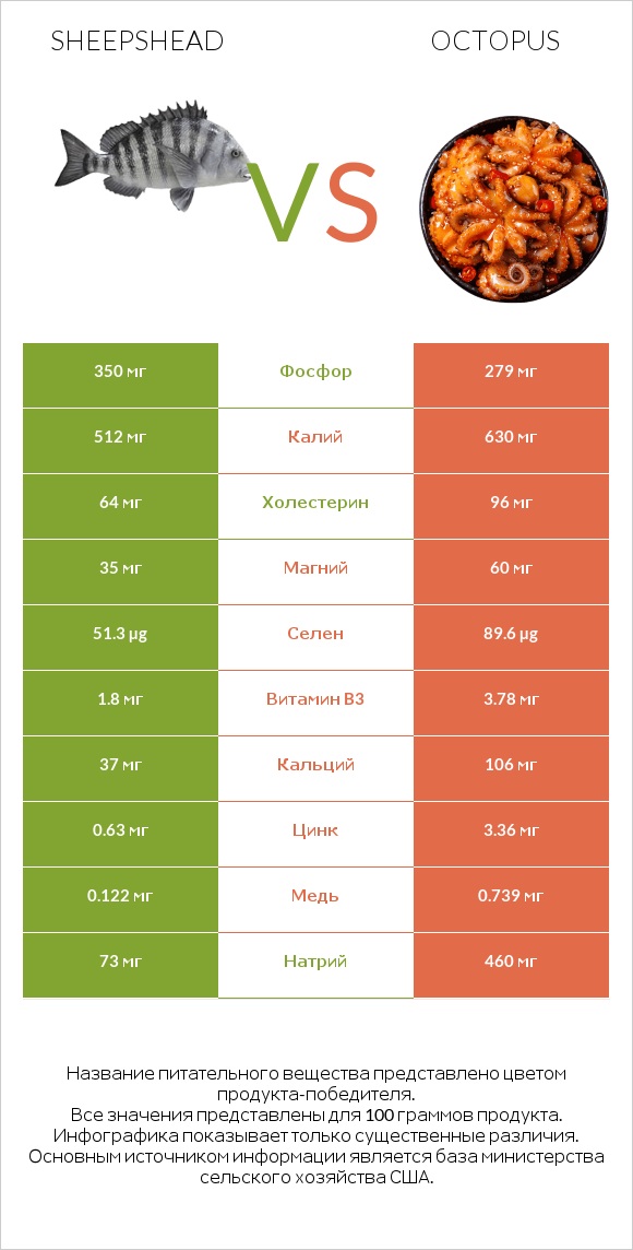 Sheepshead vs Octopus infographic