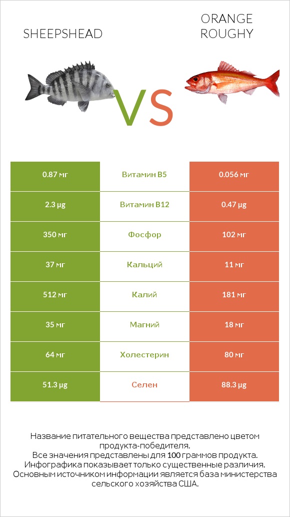 Sheepshead vs Orange roughy infographic