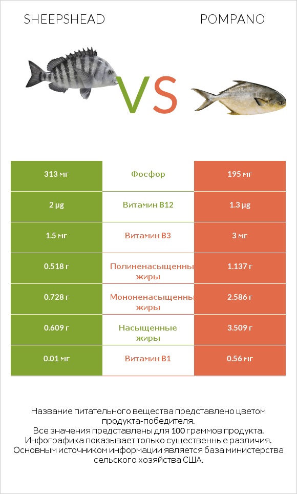 Sheepshead vs Pompano infographic