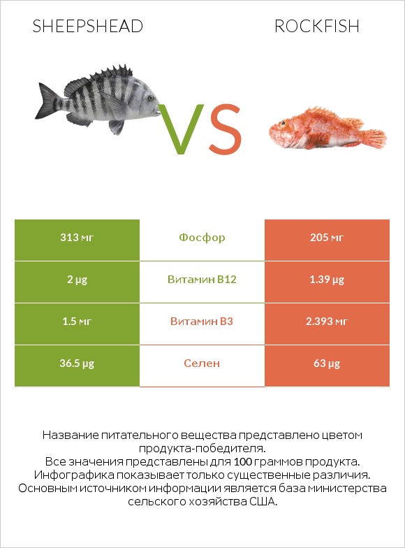 Sheepshead vs Rockfish infographic